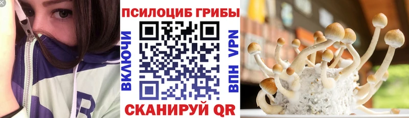 Галлюциногенные грибы Psilocybine cubensis  ссылка на мегу как войти  Сретенск 